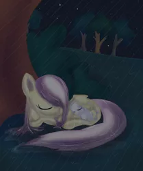 Size: 703x840 | Tagged: safe, artist:cocolli, derpibooru import, angel bunny, fluttershy, pegasus, pony, cute, duo, female, filly, mare, night, rain, smiling, tree, wet mane, wing blanket
