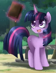 Size: 447x586 | Tagged: safe, artist:loyaldis, derpibooru import, twilight sparkle, pony, unicorn, book, female, happy, heart eyes, mare, solo, wingding eyes