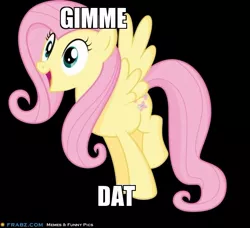 Size: 600x547 | Tagged: safe, derpibooru import, fluttershy, pegasus, pony, black background, caption, cute, eyes on the prize, female, gimme, happy, image macro, mare, raised leg, shyabetes, simple background, smiling, solo, spread wings, text, want, wide eyes, wings