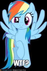 Size: 409x616 | Tagged: safe, derpibooru import, rainbow dash, pegasus, pony, black background, female, looking at you, mare, raised hoof, simple background, solo, vector