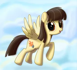 Size: 905x830 | Tagged: safe, artist:ctb-36, derpibooru import, wild fire, pegasus, pony, female, flying, looking at you, mare, raised hoof, sibsy, sky, solo