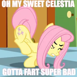 Size: 455x455 | Tagged: safe, derpibooru import, edit, edited screencap, screencap, fluttershy, pegasus, pony, caption, eyes closed, female, gritted teeth, image macro, mare, need to fart, solo, text