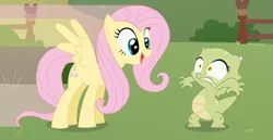 Size: 900x466 | Tagged: safe, artist:queencold, derpibooru import, fluttershy, oc, oc:jade, dragon, pegasus, pony, dragon oc, dragoness, duo, duo female, female, looking at each other, mare