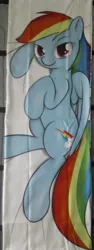 Size: 541x1440 | Tagged: safe, artist:theparagon, derpibooru import, rainbow dash, pegasus, pony, body pillow, body pillow design, female, looking at you, lying down, mare, merchandise, sheet, side, solo
