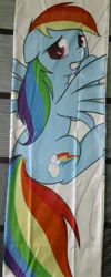 Size: 578x1440 | Tagged: safe, artist:theparagon, derpibooru import, rainbow dash, pegasus, pony, body pillow, body pillow design, female, floppy ears, gritted teeth, looking back, mare, merchandise, prone, solo, spread wings, worried