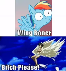 Size: 500x538 | Tagged: safe, derpibooru import, rainbow dash, pegasus, pony, comparison, female, heaven's lost property, image macro, mare, sora no otoshimono, tomoki sakurai, wingboner