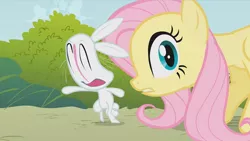 Size: 1277x720 | Tagged: safe, derpibooru import, screencap, angel bunny, fluttershy, pegasus, pony, dragonshy, duo, faic, female, great moments in animation, mare, nightmare fuel, smear frame, wat