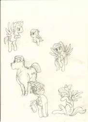 Size: 900x1238 | Tagged: safe, artist:mon311, derpibooru import, blossomforth, bulk biceps, cloudchaser, flitter, rumble, thunderlane, pegasus, pony, hurricane fluttershy, brawn, colt, female, male, mare, monochrome, sketch, stallion, traditional art