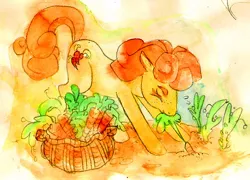 Size: 600x432 | Tagged: safe, artist:muura, derpibooru import, carrot top, golden harvest, earth pony, pony, carrot, female, gardening, mare, mouth hold, pulling, solo, traditional art, watercolor painting, working