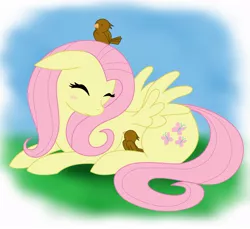 Size: 1000x915 | Tagged: dead source, safe, artist:volmise, derpibooru import, fluttershy, bird, pegasus, pony, blushing, eyes closed, female, floppy ears, mare, photoshop, prone, solo