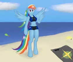 Size: 1400x1200 | Tagged: anthro, arm hooves, artist:funkybacon, beach, belly button, bikini, breasts, busty rainbow dash, clothes, daring do, derpibooru import, derpy hooves, female, rainbow dash, safe, swimsuit, tank, unguligrade anthro