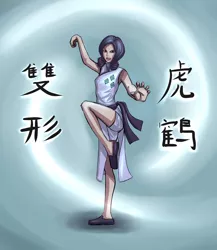 Size: 1300x1500 | Tagged: abstract background, acdsee, action pose, artist:ninjaham, cheongsam, chinese text, clothes, dead source, derpibooru import, female, human, humanized, kung fu, martial artist rarity, rarity, safe, solo, text