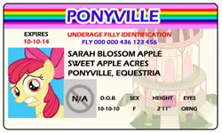 Size: 500x300 | Tagged: apple bloom, artist:doctorxfizzle, derpibooru import, full name, license, safe