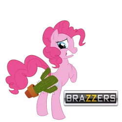 Size: 1000x1000 | Tagged: artist:madmax, brazzers, cactus, derpibooru import, meme, pinkie pie, suggestive