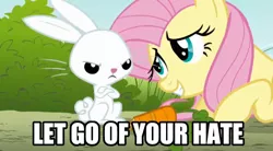Size: 628x346 | Tagged: angel bunny, carrot, derpibooru import, dragonshy, duo, edit, edited screencap, fluttershy, food, image macro, let go of your hate, safe, screencap