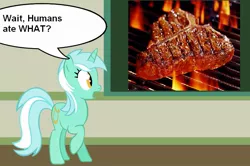 Size: 889x590 | Tagged: safe, derpibooru import, lyra heartstrings, pony, unicorn, barbeque, chalkboard, grill, human studies101 with lyra, meat, meme, photo, solo