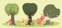 Size: 1600x720 | Tagged: safe, artist:justdayside, derpibooru import, apple bloom, applejack, big macintosh, earth pony, pony, apple siblings, apple tree, applebucking, male, stallion, tree