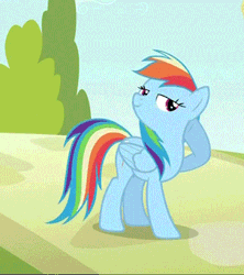 Size: 300x338 | Tagged: animated, camera flashes, cropped, derpibooru import, offscreen character, pose, rainbow dash, safe, screencap, solo, the mysterious mare do well