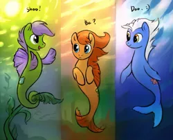 Size: 800x645 | Tagged: artist:snowseed, artist:tomatocoup, concept, derpibooru import, design, hippocampus, kelpie, merpony, oc, safe, seahorse, sea pony, shoo be doo, unofficial characters only
