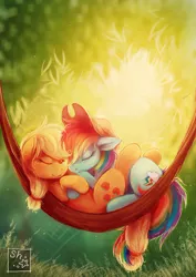 Size: 700x991 | Tagged: safe, artist:sharley, artist:sharley102, derpibooru import, applejack, rainbow dash, earth pony, pegasus, pony, accessory swap, appledash, cuddling, cute, female, grass, hammock, lesbian, mare, photoshop, shipping, sleeping, tails tangle