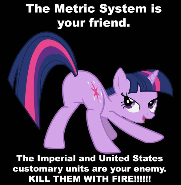 Size: 800x816 | Tagged: derpibooru import, image macro, meme, metric system, plot, safe, twilight sparkle, twiplot sparkle