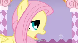 Size: 856x473 | Tagged: boom boom, derpibooru import, fluttershy, safe, screencap, youtube caption