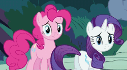 Size: 528x291 | Tagged: animated, derpibooru import, duo, fourth wall, pinkie pie, plot, putting your hoof down, rarity, safe, screencap