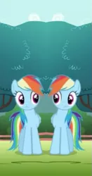 Size: 315x601 | Tagged: derpibooru import, mirrored, rainbow dash, safe, unitinu