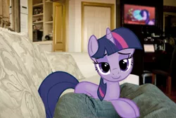 Size: 1000x667 | Tagged: safe, derpibooru import, twilight sparkle, pony, bedroom eyes, couch, irl, photo, ponies in real life, vector