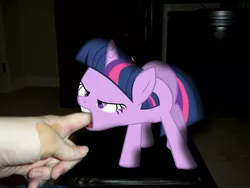 Size: 4000x3000 | Tagged: safe, derpibooru import, twilight sparkle, human, pony, irl, nom, photo, ponies in real life, vector