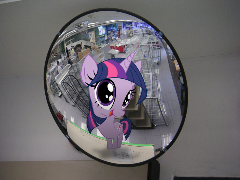 Size: 1024x768 | Tagged: safe, artist:bryal, derpibooru import, twilight sparkle, pony, big head, irl, mirror, photo, ponies in real life, silly