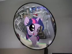 Size: 1024x768 | Tagged: safe, artist:bryal, derpibooru import, twilight sparkle, pony, big head, irl, mirror, photo, ponies in real life, silly