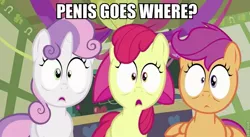 Size: 839x460 | Tagged: apple bloom, caption, cutie mark crusaders, derpibooru import, edit, edited screencap, implied sex, scootaloo, screencap, suggestive, surprised, sweetie belle, wide eyes