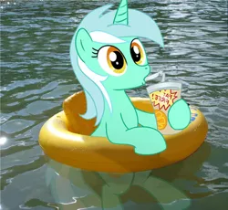 Size: 624x573 | Tagged: safe, derpibooru import, lyra heartstrings, pony, drink, floaty, irl, photo, ponies in real life, swimming pool, vector, water