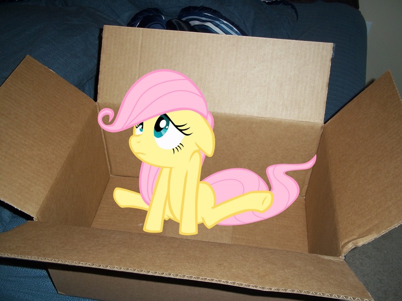 Size: 2048x1536 | Tagged: safe, derpibooru import, fluttershy, pony, box, cute, daaaaaaaaaaaw, filly, foal, irl, photo, ponies in real life, vector