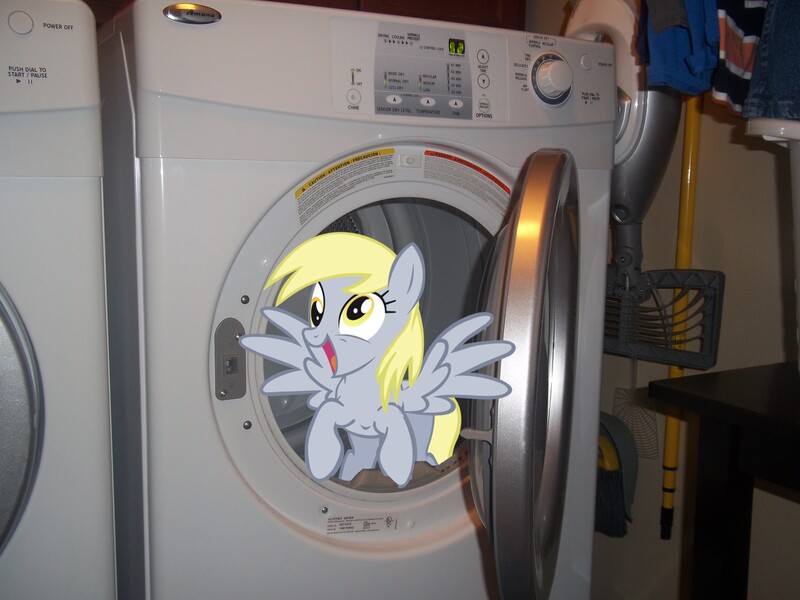 Size: 4000x3000 | Tagged: safe, derpibooru import, derpy hooves, pony, irl, photo, ponies in real life, vector