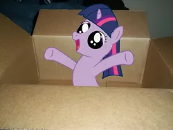 Size: 4000x3000 | Tagged: safe, derpibooru import, twilight sparkle, pony, box, filly, foal, irl, photo, ponies in real life