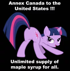 Size: 800x816 | Tagged: butt, canada, derpibooru import, featureless crotch, maple syrup, plot, safe, sunshine sunshine, twibutt, twilight sparkle, twiplot sparkle