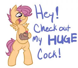 Size: 720x624 | Tagged: dead source, suggestive, artist:kittensmod, derpibooru import, scootaloo, chicken, pegasus, pony, bipedal, innuendo, pun, scootachicken