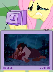 Size: 563x771 | Tagged: safe, derpibooru import, fluttershy, pony, beauty and the beast, disney, exploitable meme, fluttercry, meme, tv meme