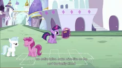 Size: 855x476 | Tagged: cotton cloudy, derpibooru import, foal, ruby pinch, safe, screencap, twilight sparkle, youtube caption