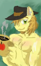 Size: 640x1024 | Tagged: anthro, artist:flamedramonx20, artist:flameydragwasp, bare chest, beard, braeburn, clothes, derpibooru import, male, muscles, solo, solo male, suggestive, topless