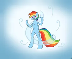 Size: 4400x3600 | Tagged: ask, clothes, derpibooru import, just ask rainbow dash, m4ng0s, rainbow dash, safe, scarf, tumblr