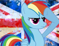 Size: 755x598 | Tagged: safe, derpibooru import, rainbow dash, pegasus, pony, flag, salute, solo