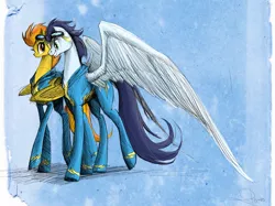 Size: 1072x800 | Tagged: safe, artist:nastylady, derpibooru import, soarin', spitfire, pegasus, pony, female, large wings, male, mare, photoshop, stallion, wings, wonderbolts
