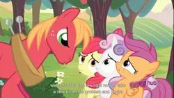 Size: 1366x768 | Tagged: safe, derpibooru import, screencap, apple bloom, big macintosh, scootaloo, sweetie belle, earth pony, pony, ponyville confidential, cutie mark crusaders, male, stallion, youtube caption, youtube link