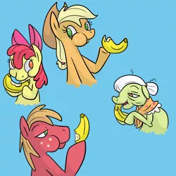 Size: 2000x2000 | Tagged: safe, artist:ponygoggles, derpibooru import, apple bloom, applejack, big macintosh, granny smith, earth pony, pony, apple family, banana, blue background, eating, female, filly, high res, male, mare, no pupils, simple background, stallion