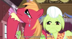 Size: 855x471 | Tagged: safe, derpibooru import, screencap, big macintosh, granny smith, earth pony, pony, church, male, religion, stallion, youtube caption