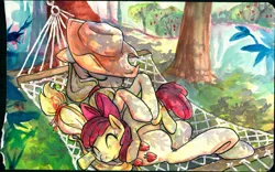 Size: 1280x797 | Tagged: source needed, safe, artist:buttercupsaiyan, deleted from derpibooru, derpibooru import, apple bloom, applejack, earth pony, pony, dappled sunlight, duo, female, filly, hammock, mare, sleeping, smiling