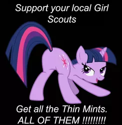 Size: 800x816 | Tagged: derpibooru import, image macro, suggestive, text, twilight sparkle, twiplot sparkle